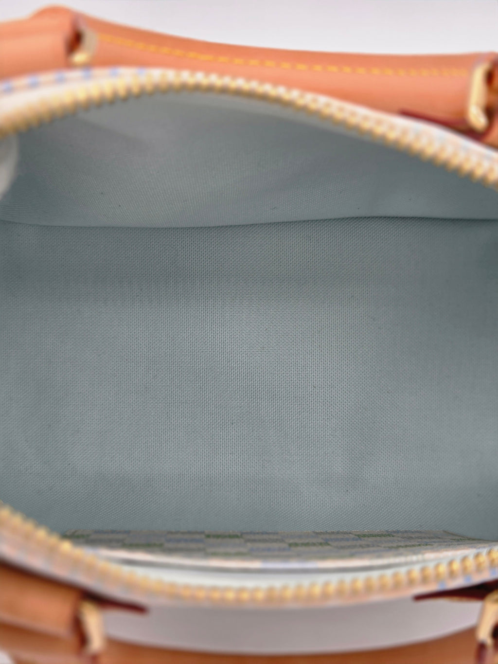 Louis Vuitton Speedy 20 Bandoulière – Damier Pistachio | Pre-Owned