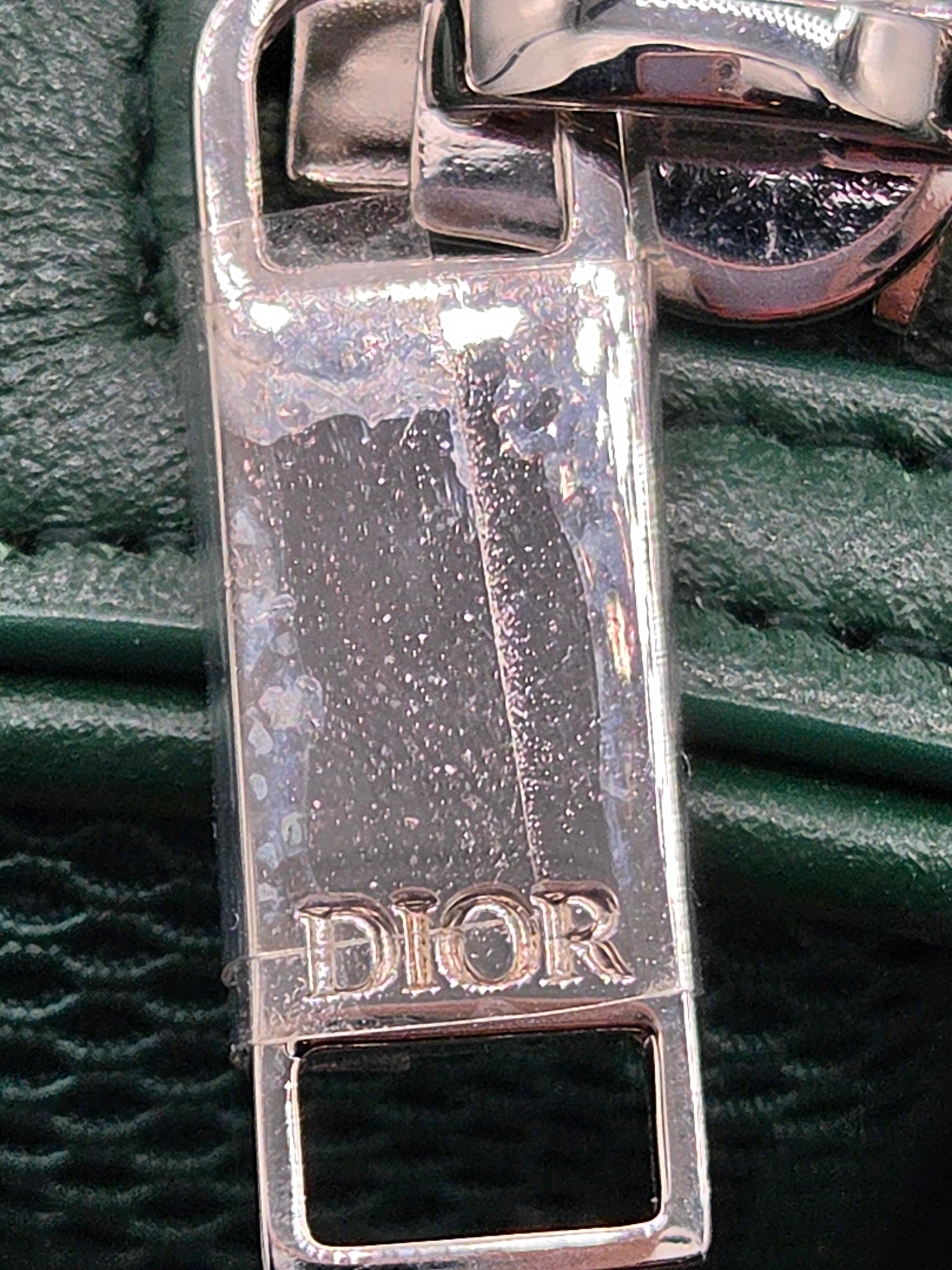 Close-up of a silver Dior belt buckle on a textured green background