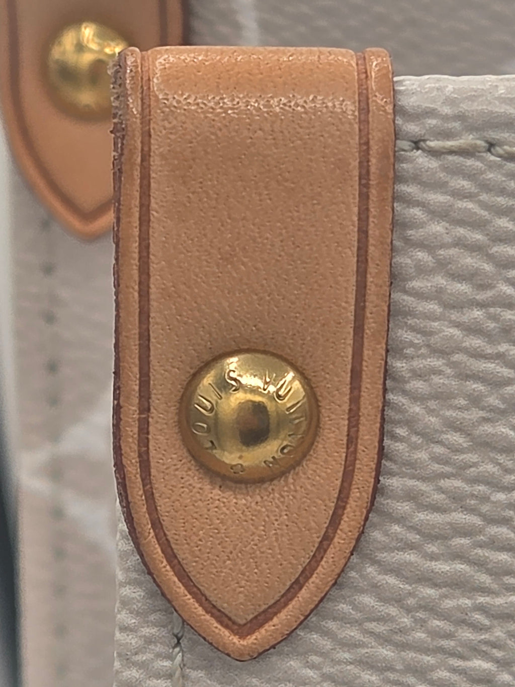 Close-up of a leather strap with a gold buckle on a textured surface