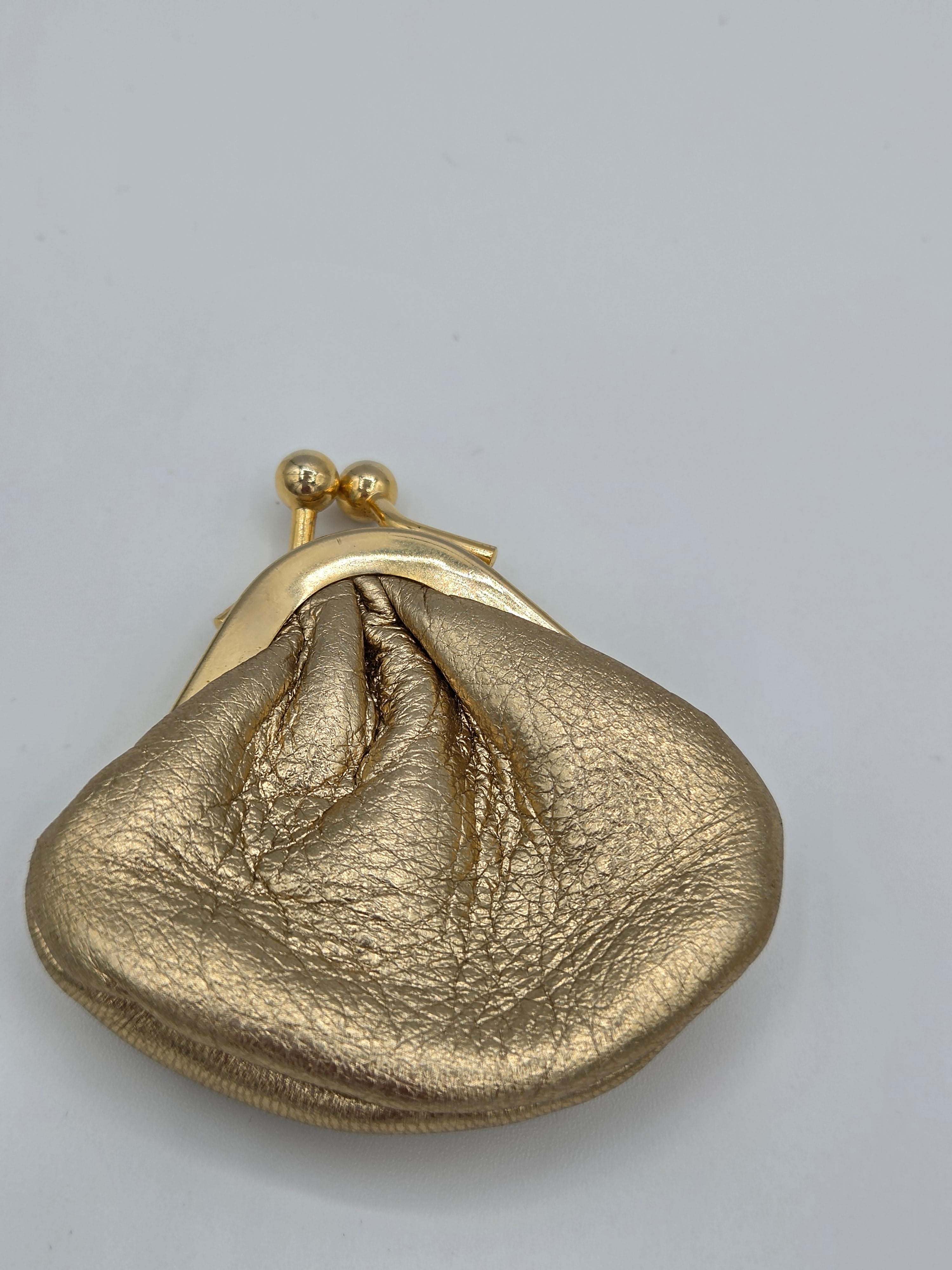 Gold metallic pouch with a clasp on a light gray background