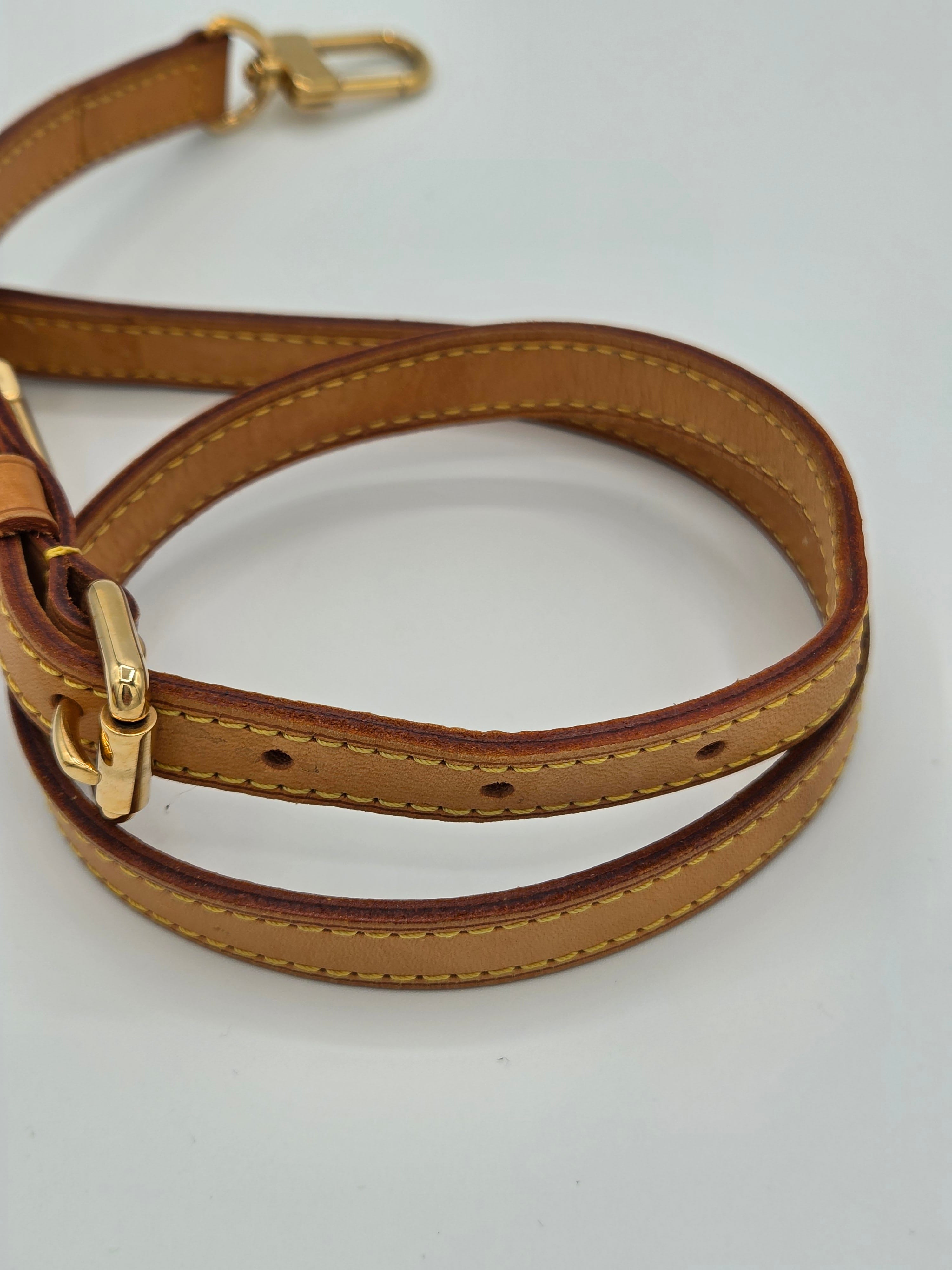 Brown leather dog leash with gold hardware on a white background