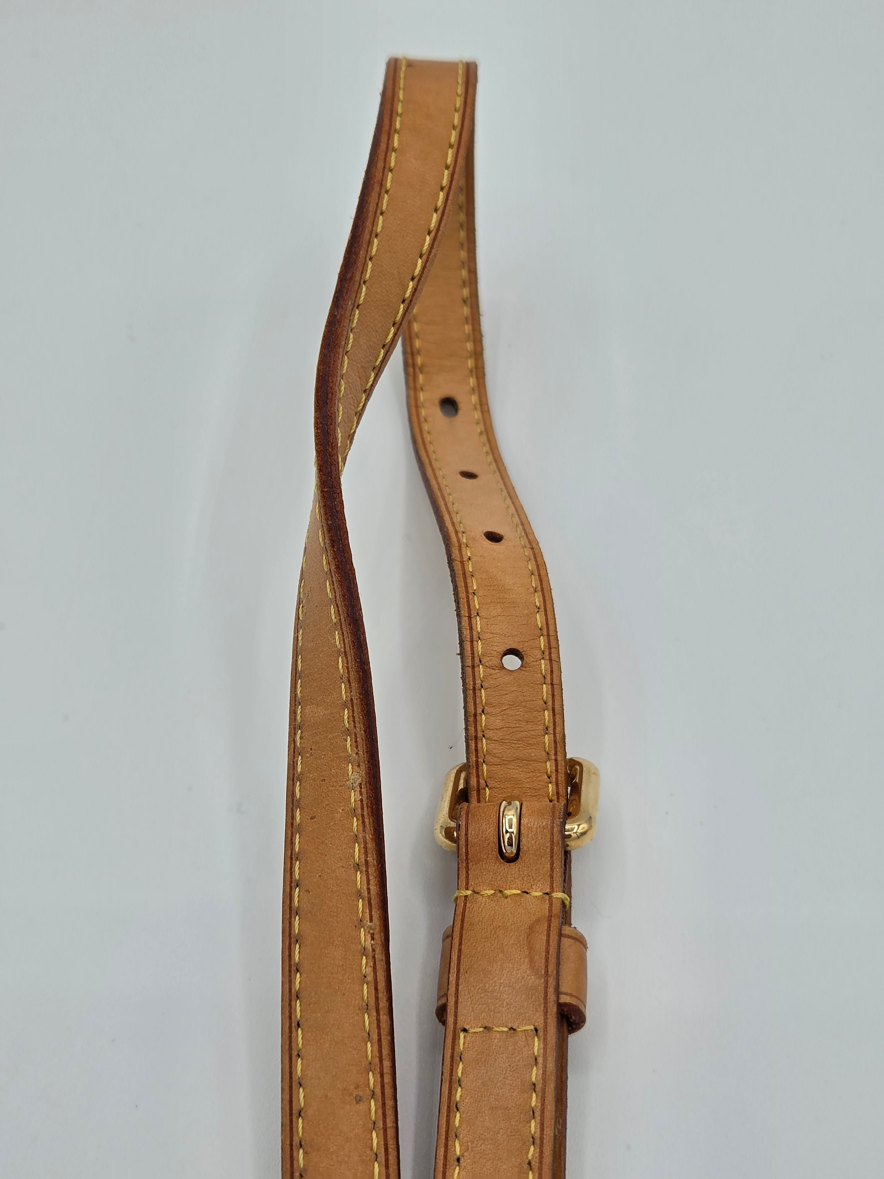 Brown leather dog collar on a light gray background