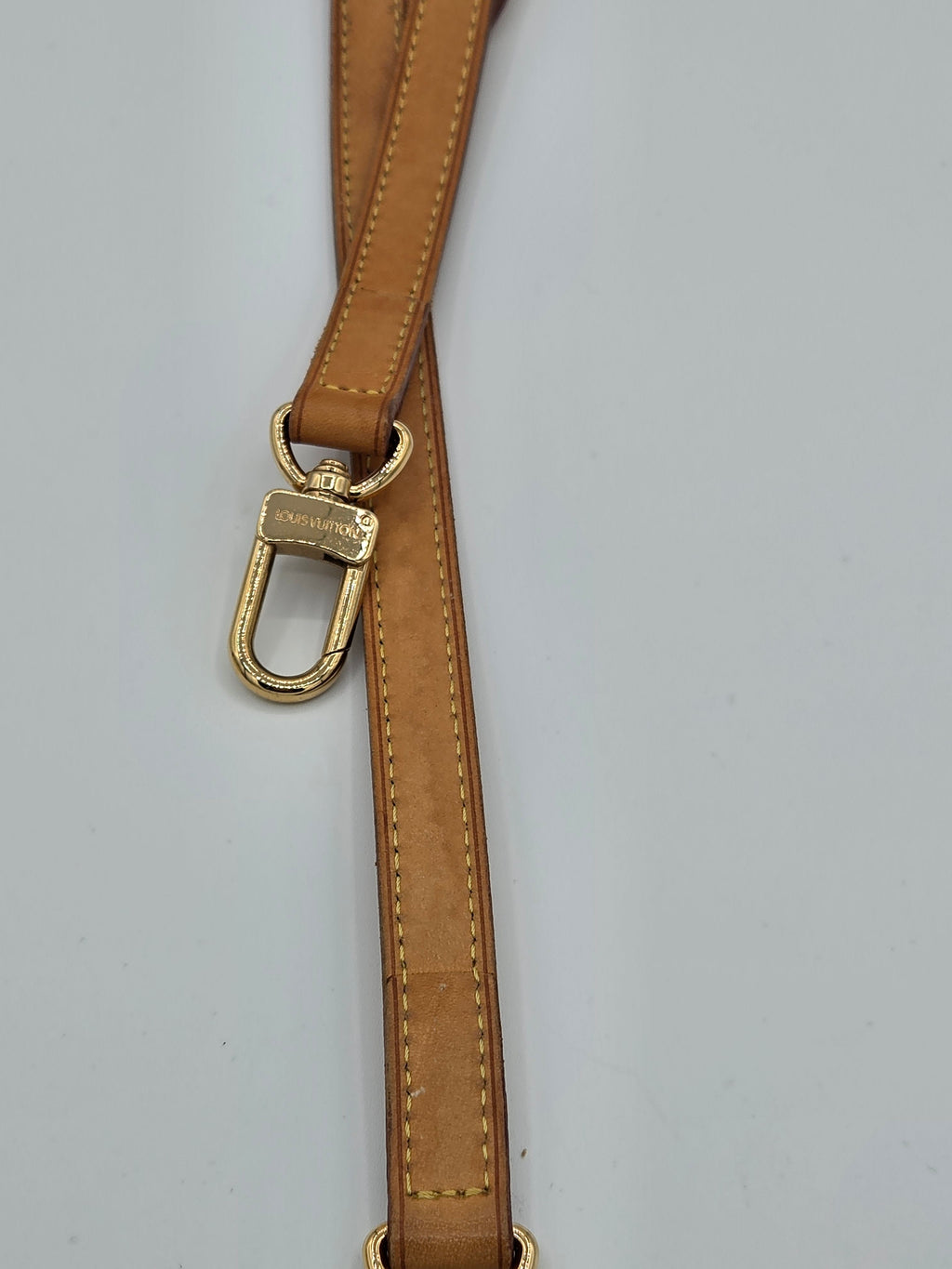 Brown leather strap with gold buckle on a light gray background