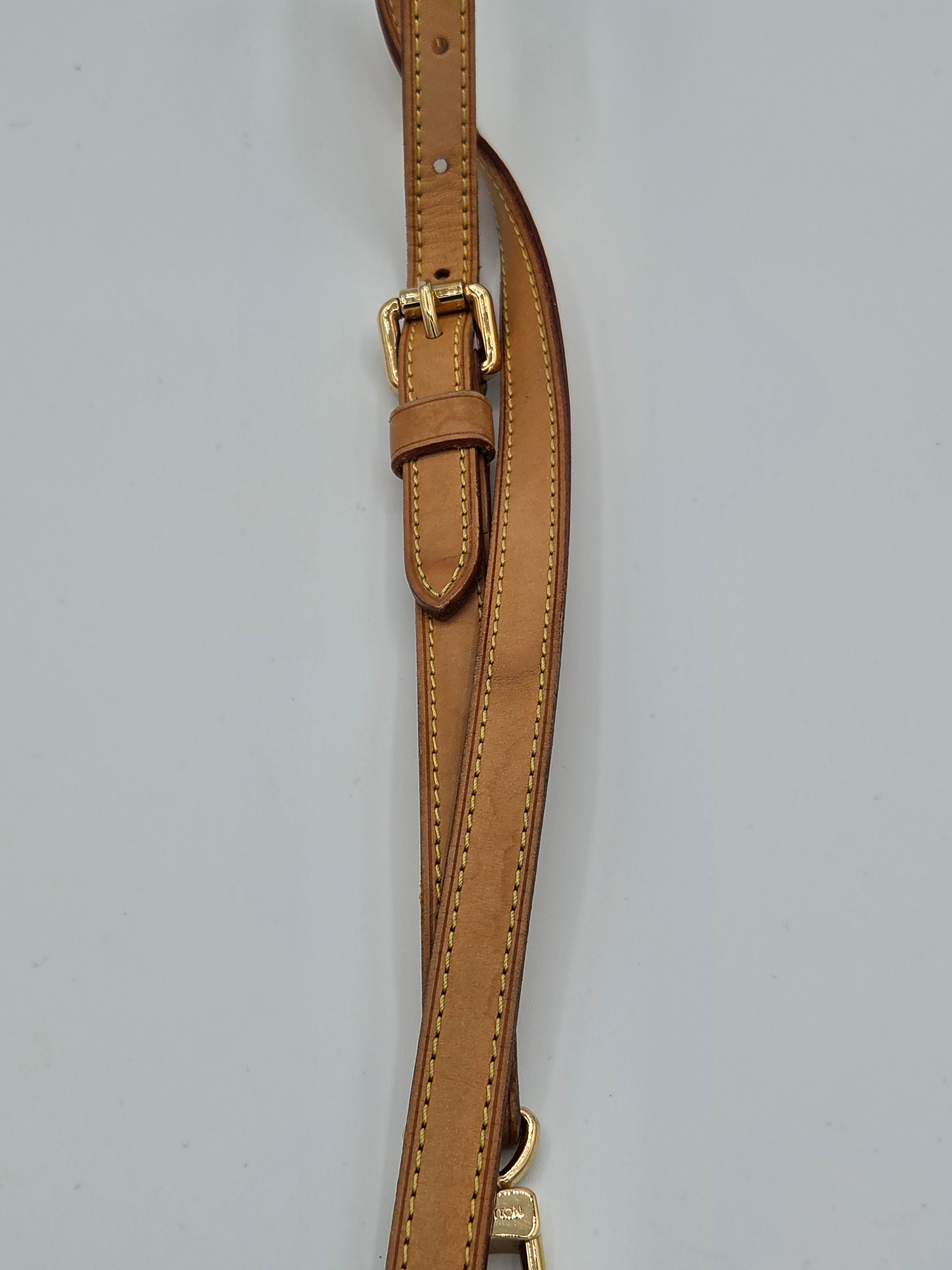 Brown leather strap with gold buckle on a light gray background