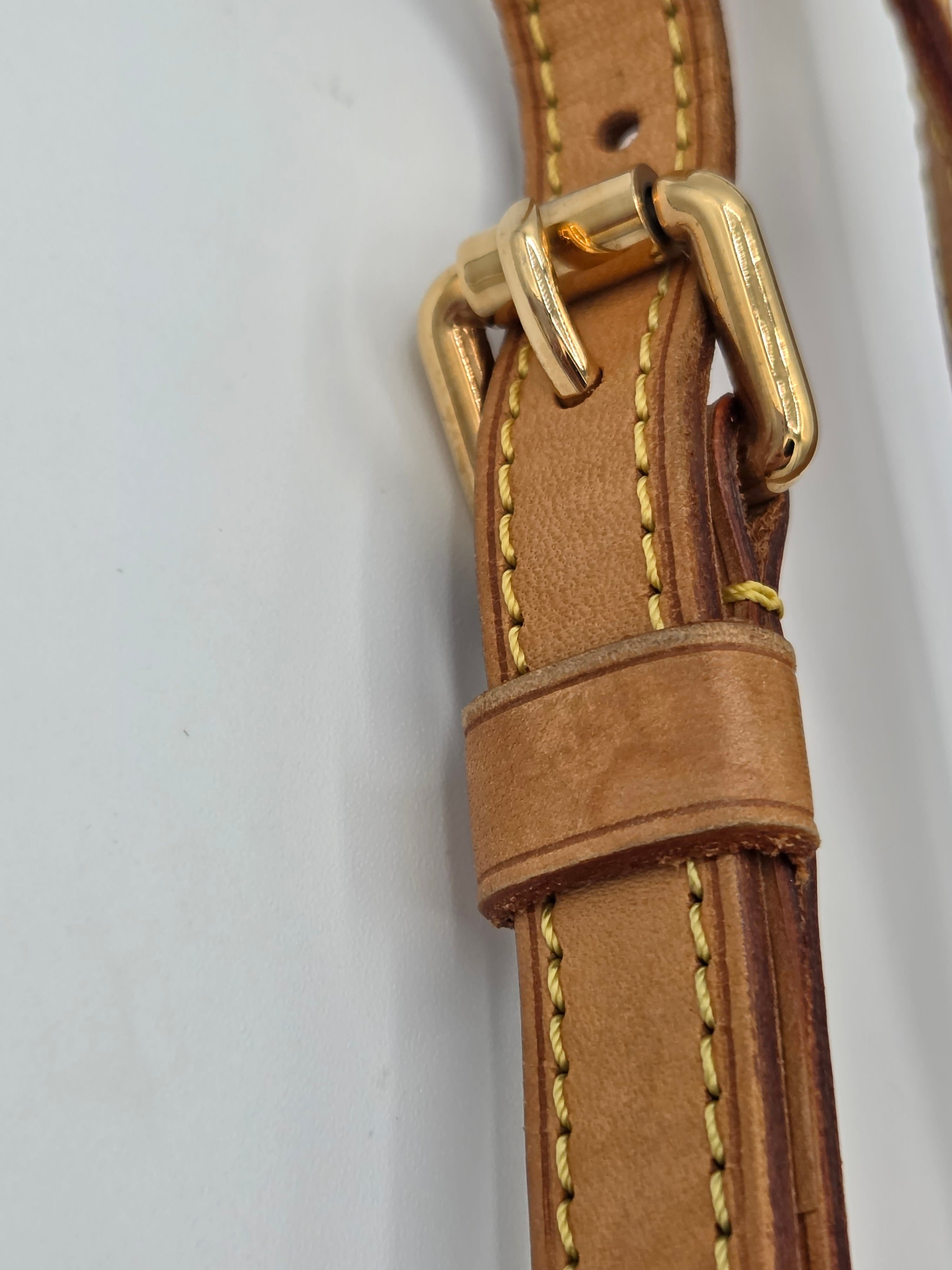 Brown leather belt with gold buckle on a white background