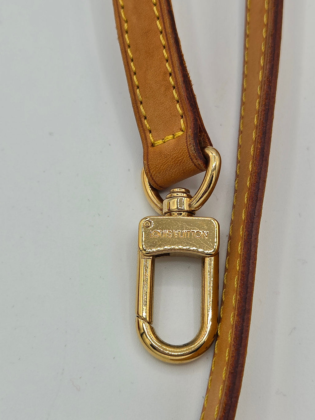 Brown leather strap with gold metal clasp on a white background