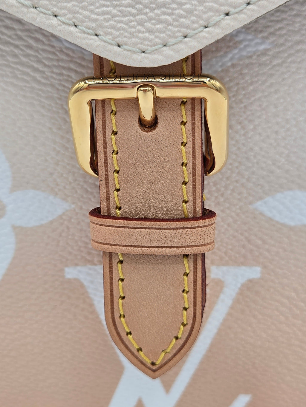 Close-up of a leather strap with gold buckle on a beige background