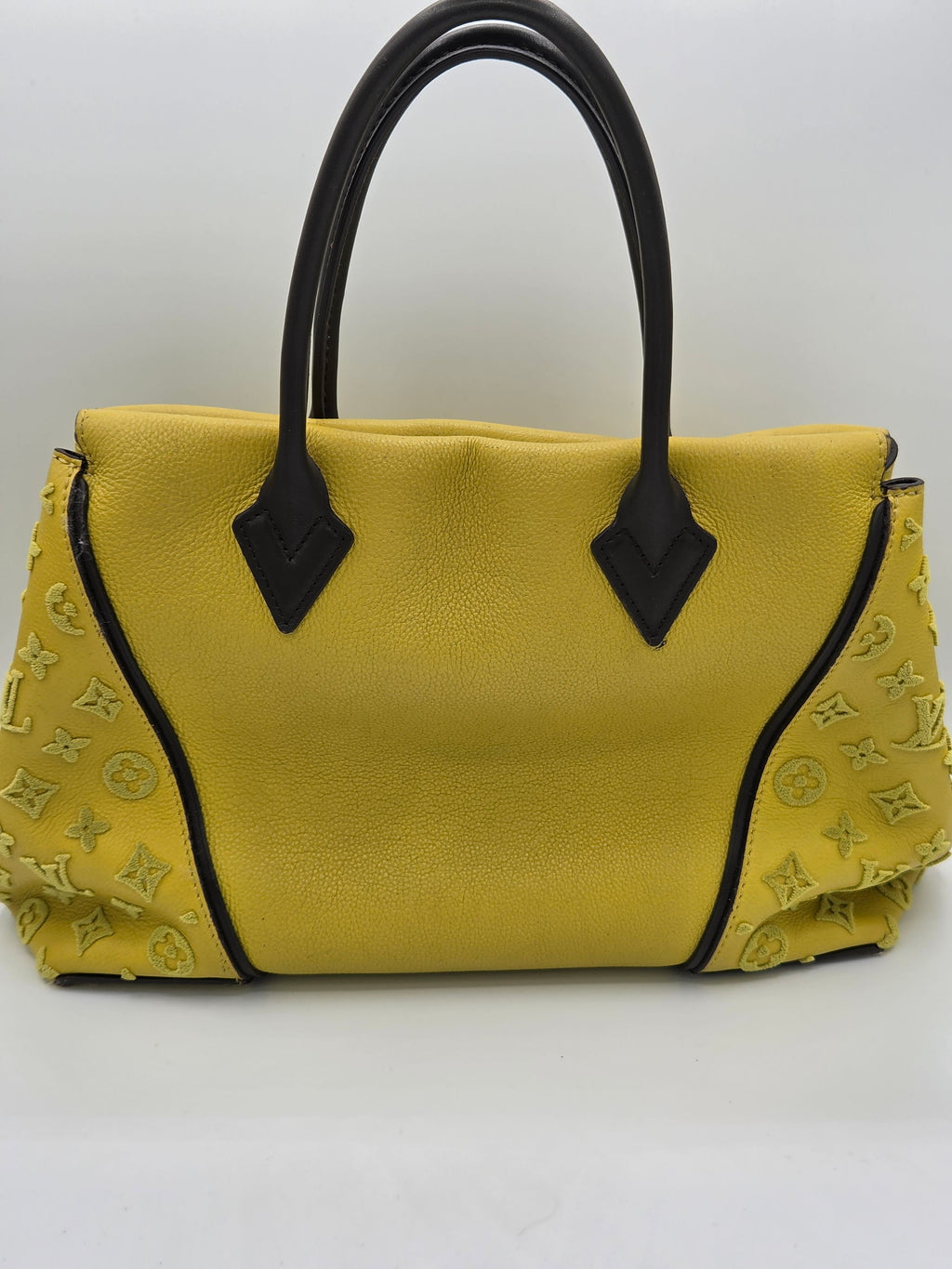 rear view of the handbag