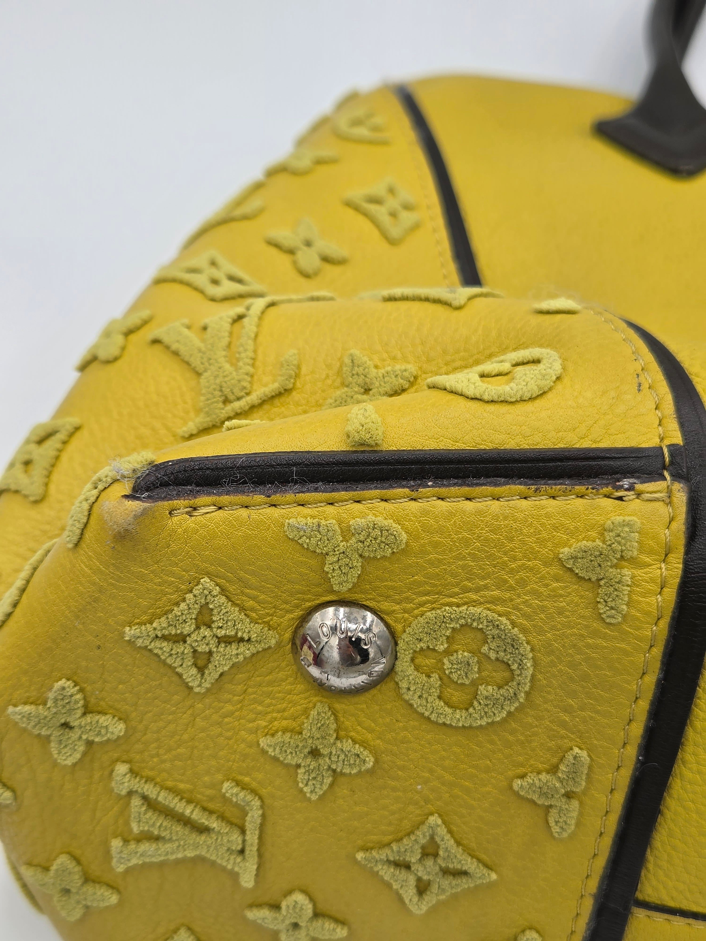 Louis Vuitton Veau Cachemire Tote W PM – Pistache | Grained Calfskin Leather | 2014 | Authenticated | Pre-Owned