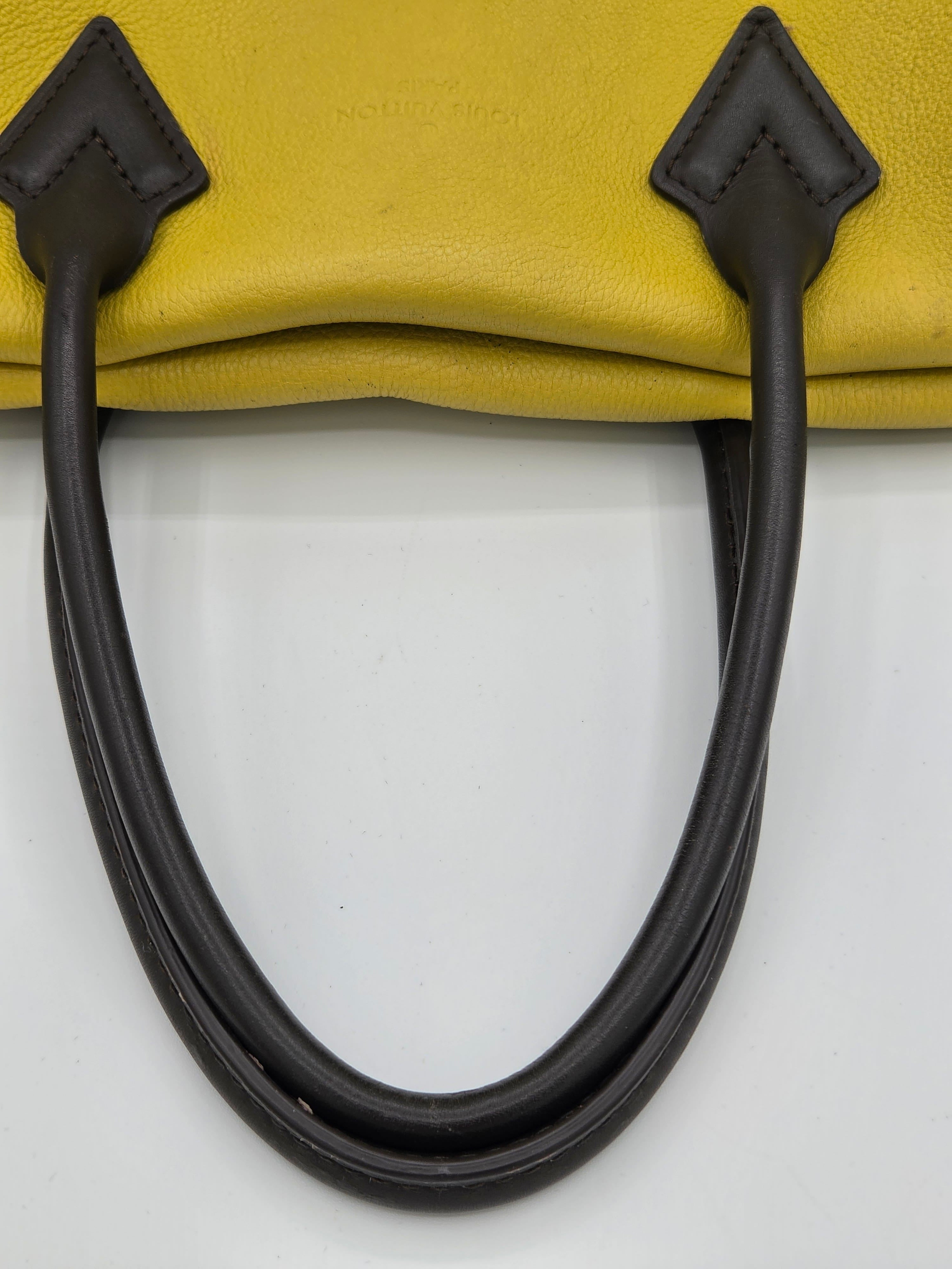 Louis Vuitton Veau Cachemire Tote W PM – Pistache | Grained Calfskin Leather | 2014 | Authenticated | Pre-Owned