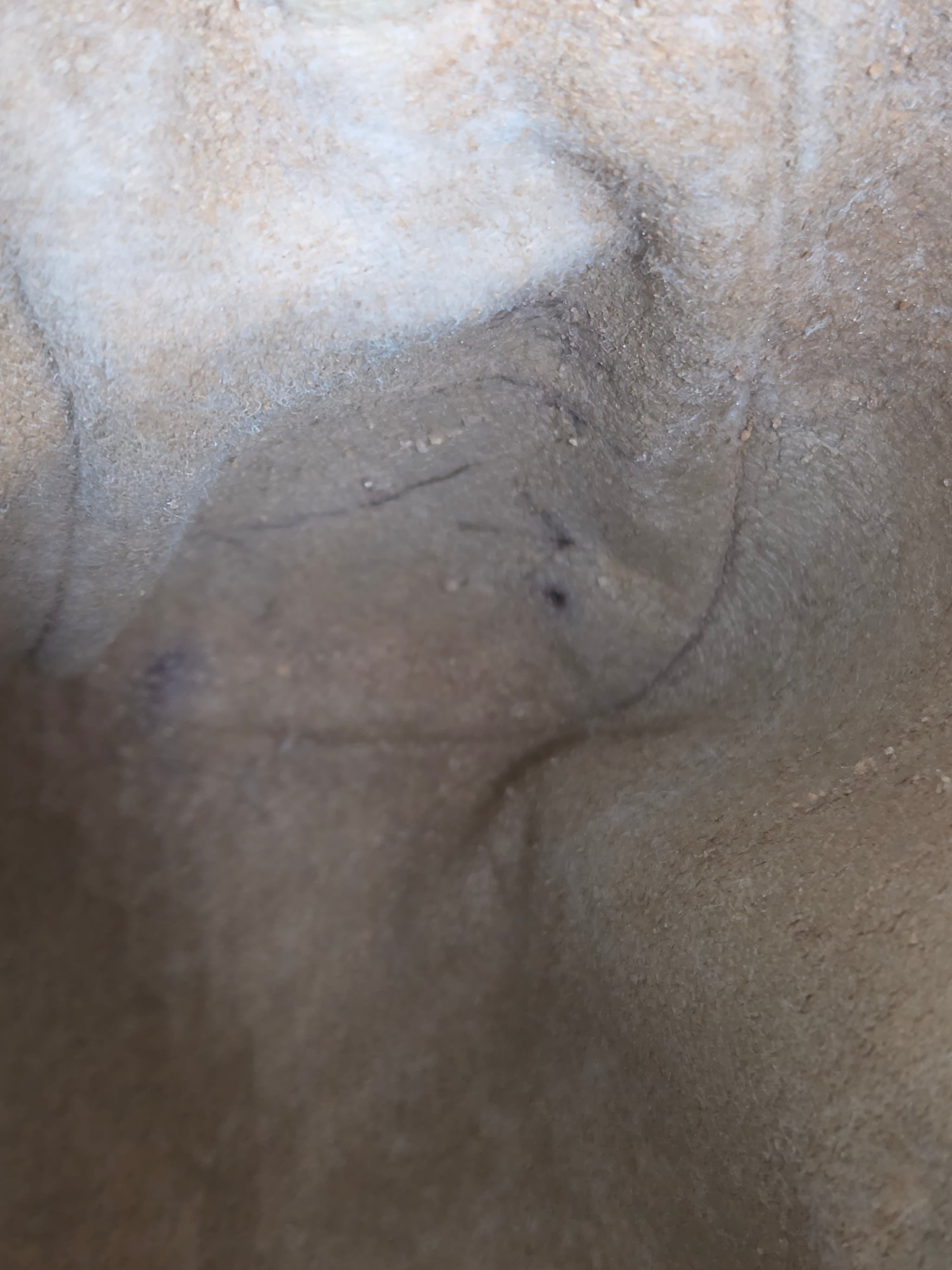 A close-up of a textured beige and brown surface with soft shadows and a few small dark specks.