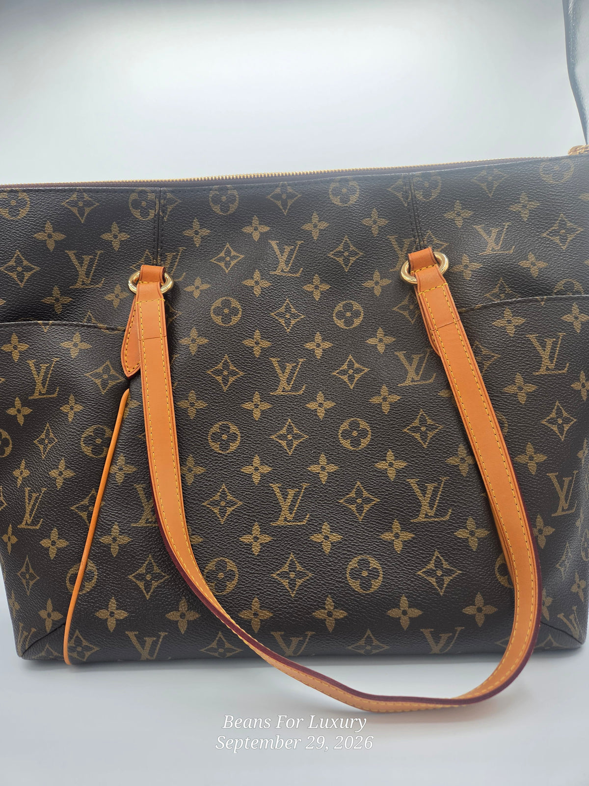 A Louis Vuitton monogram canvas tote bag in dark brown with tan leather shoulder straps and gold-tone hardware, photographed against a light gray background.
