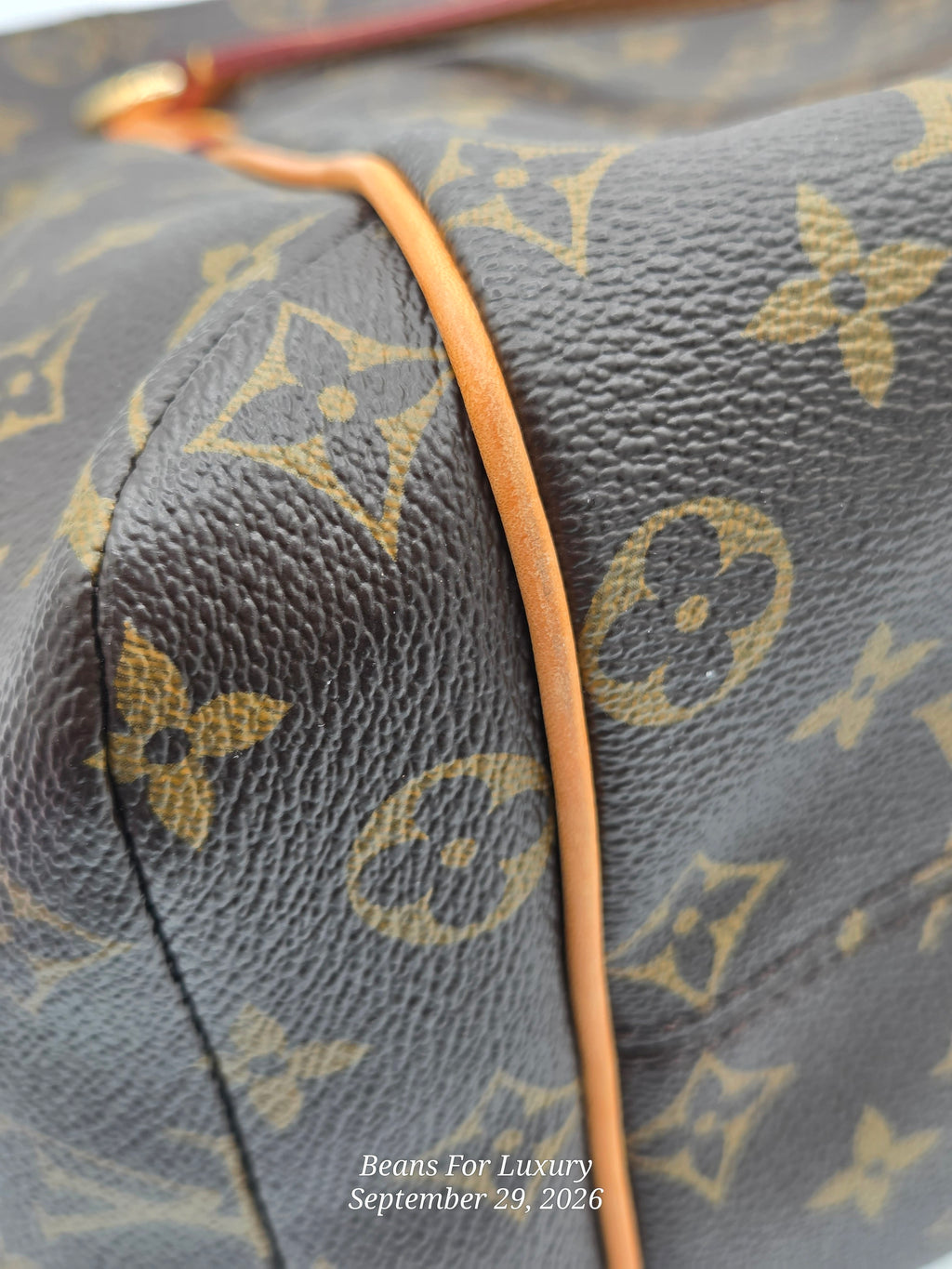 Close-up of a Louis Vuitton monogram canvas bag with dark brown coated canvas, tan monogram print, and a contrasting light brown leather trim.
