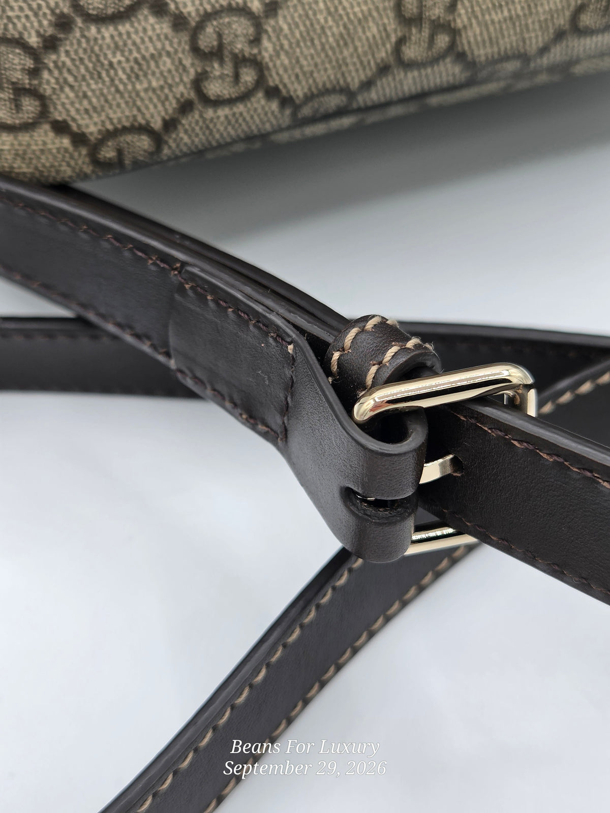 Close-up detail of a Gucci shoulder strap with a dark brown leather strap, beige GG monogram canvas, and a gold-tone metal buckle.