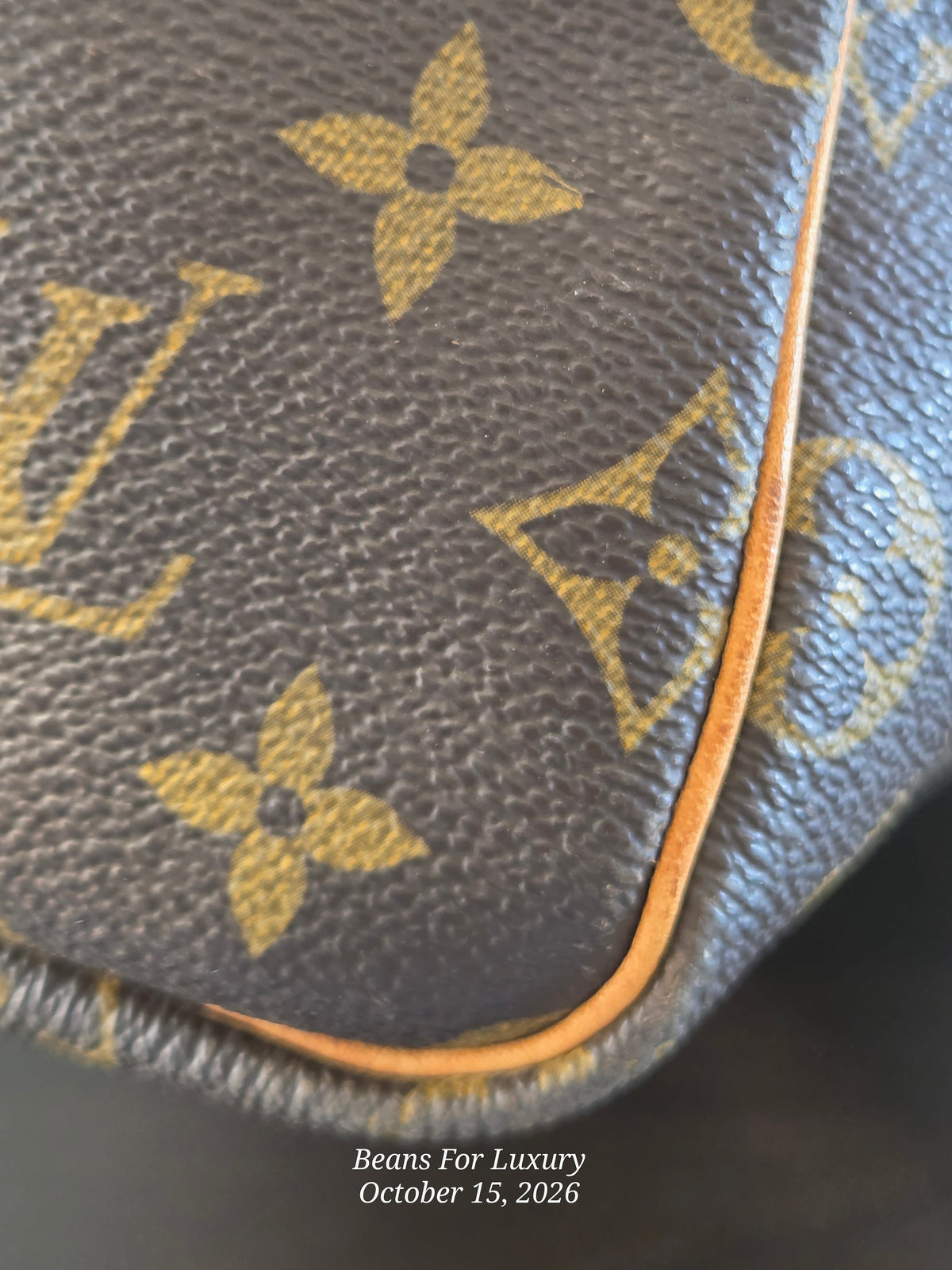 corner view of leather on bag