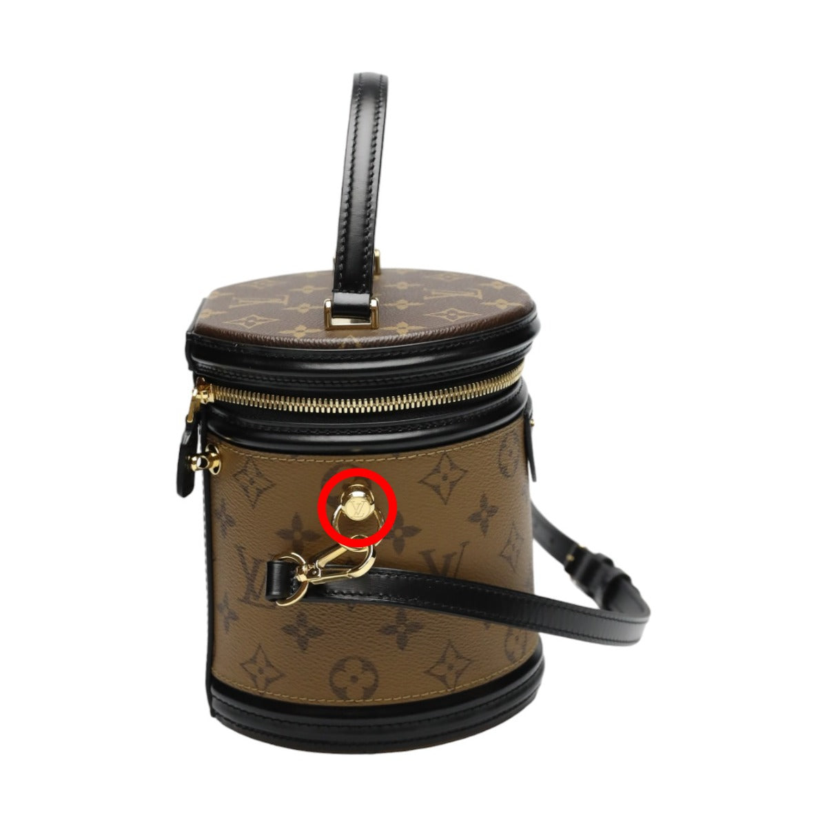side Louis Vuitton Cannes Monogram Canvas Shoulder Bag
