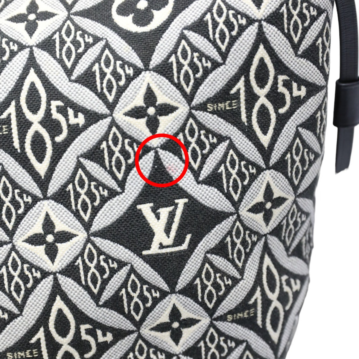 detail wear Louis Vuitton Jacquard 1854 Neverfull MM w/Pouch blue and gray