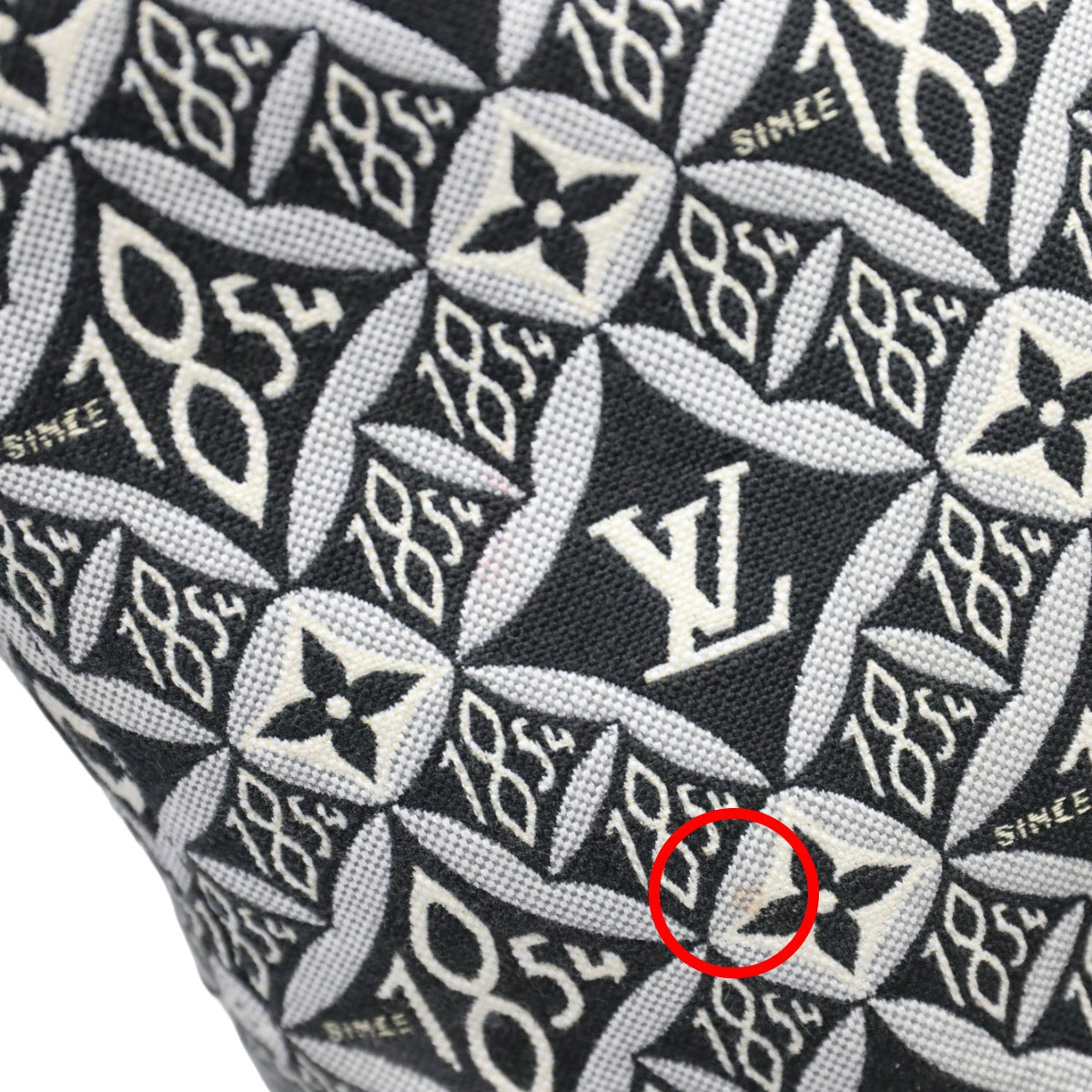wear Louis Vuitton Jacquard 1854 Neverfull MM w/Pouch blue and gray