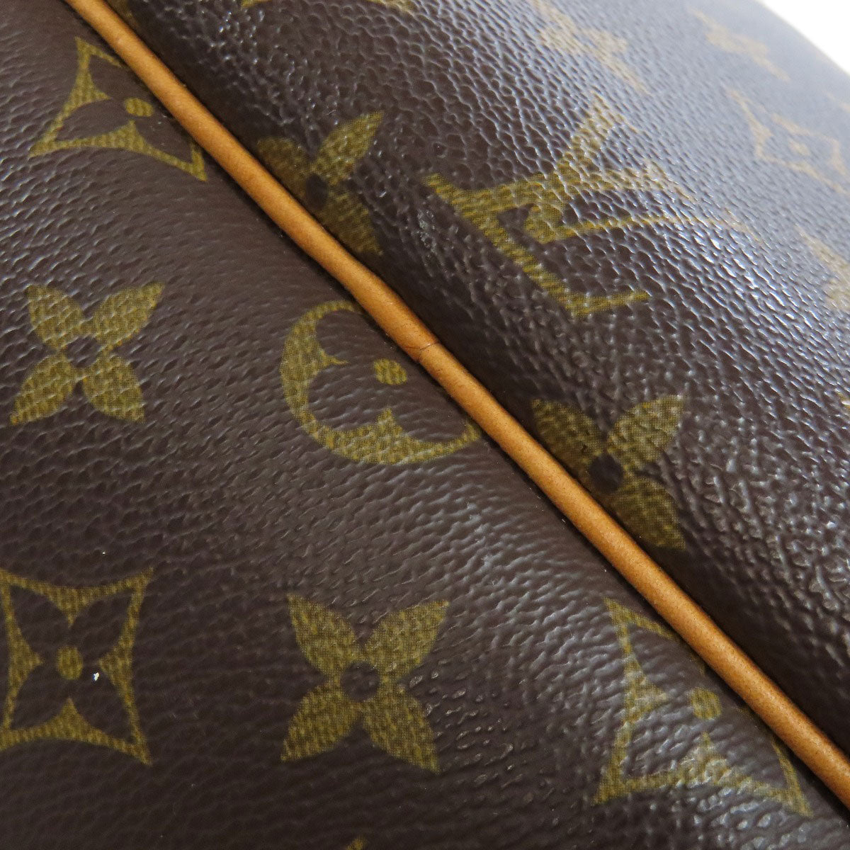 Louis Vuitton Monogram Canvas Excursion Shoe Bag