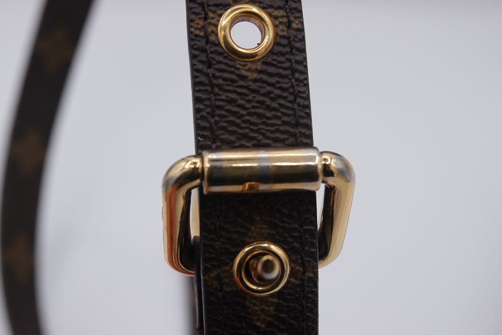 Close-up of a brown leather strap with gold hardware on a light gray background