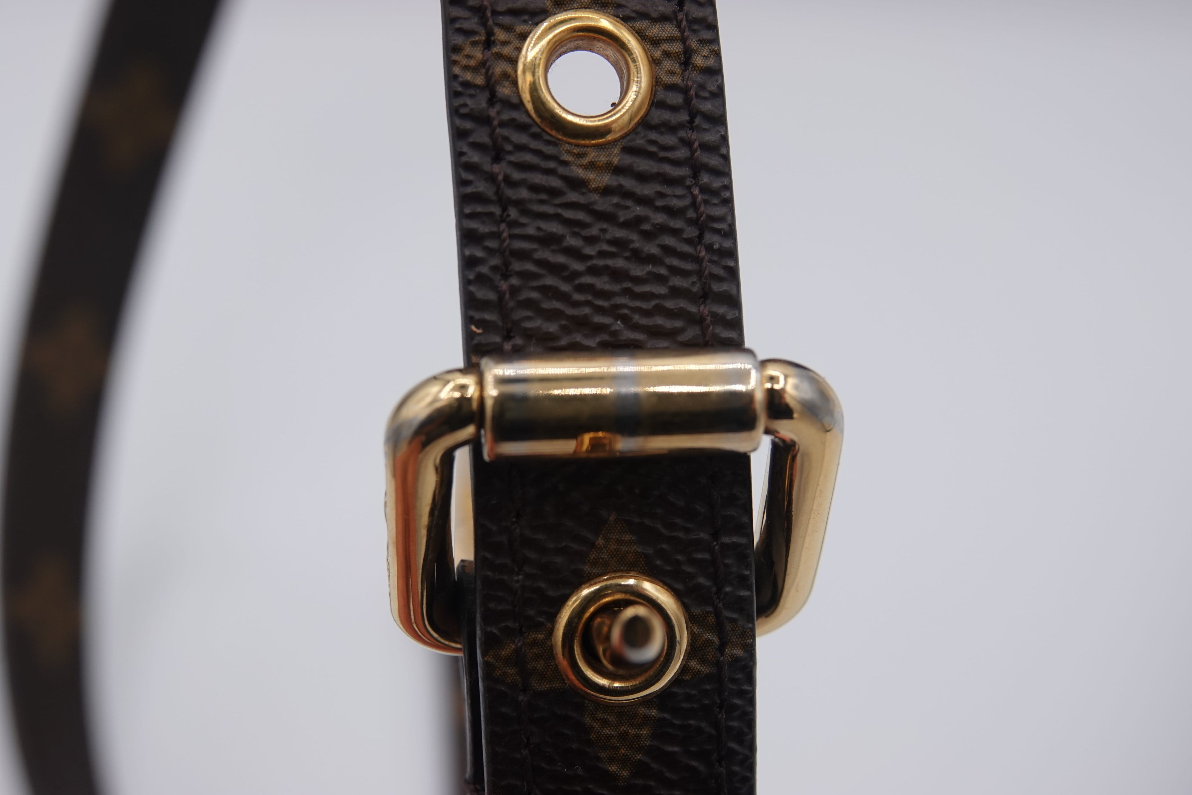 Close-up of a brown leather strap with gold hardware on a light gray background